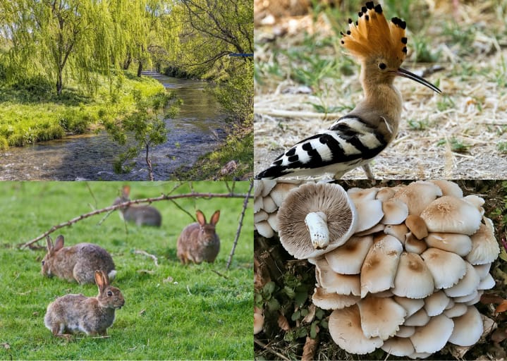 carlos baptista fernandez ejercicio